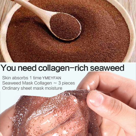 1000G/200G Natural Seaweed Mask for Face Moisturizing Hydrating Algae Seed Face Mask Shrink Pores Whitening Anti Acne Skincare